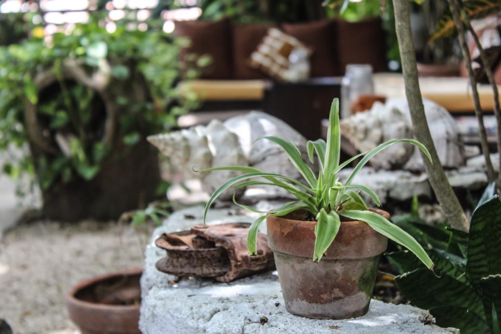 Secret Garden Tulum Hotel 외부 사진