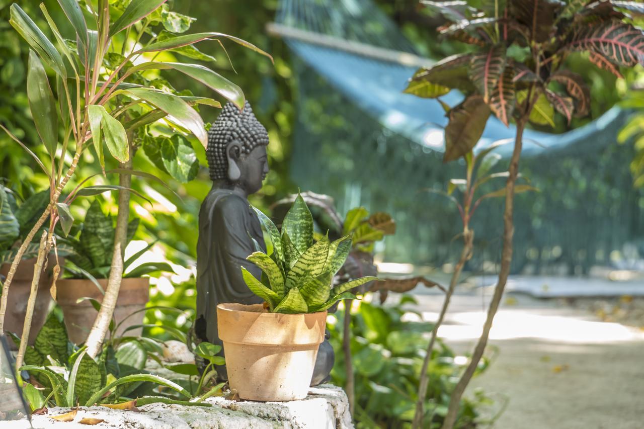 Secret Garden Tulum Hotel 외부 사진