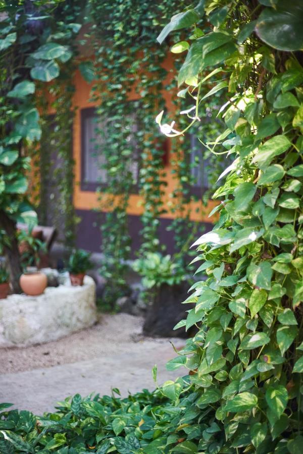 Secret Garden Tulum Hotel 외부 사진